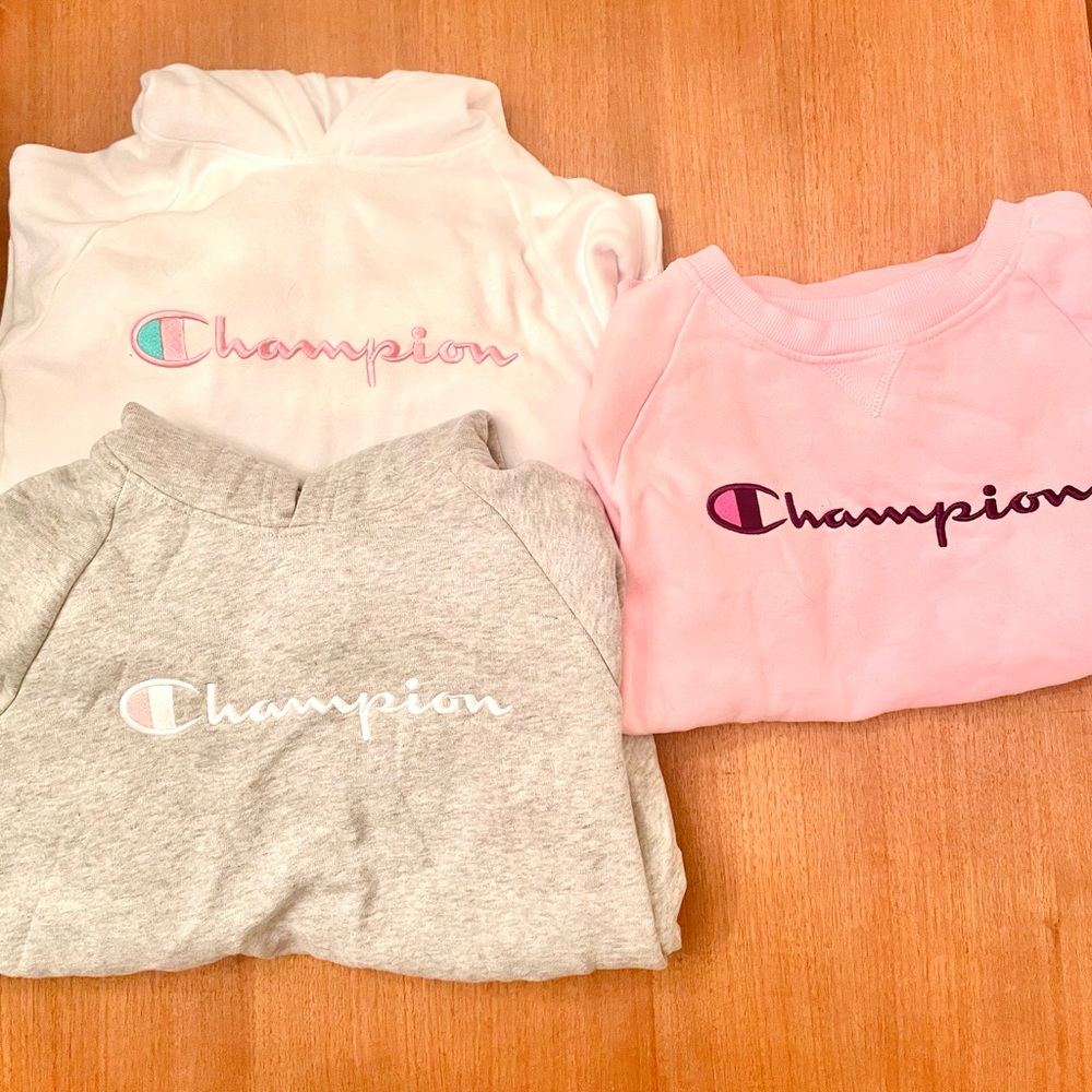 3 adorable large sweatshirts, two hooded sweatshirts + one non hooded!